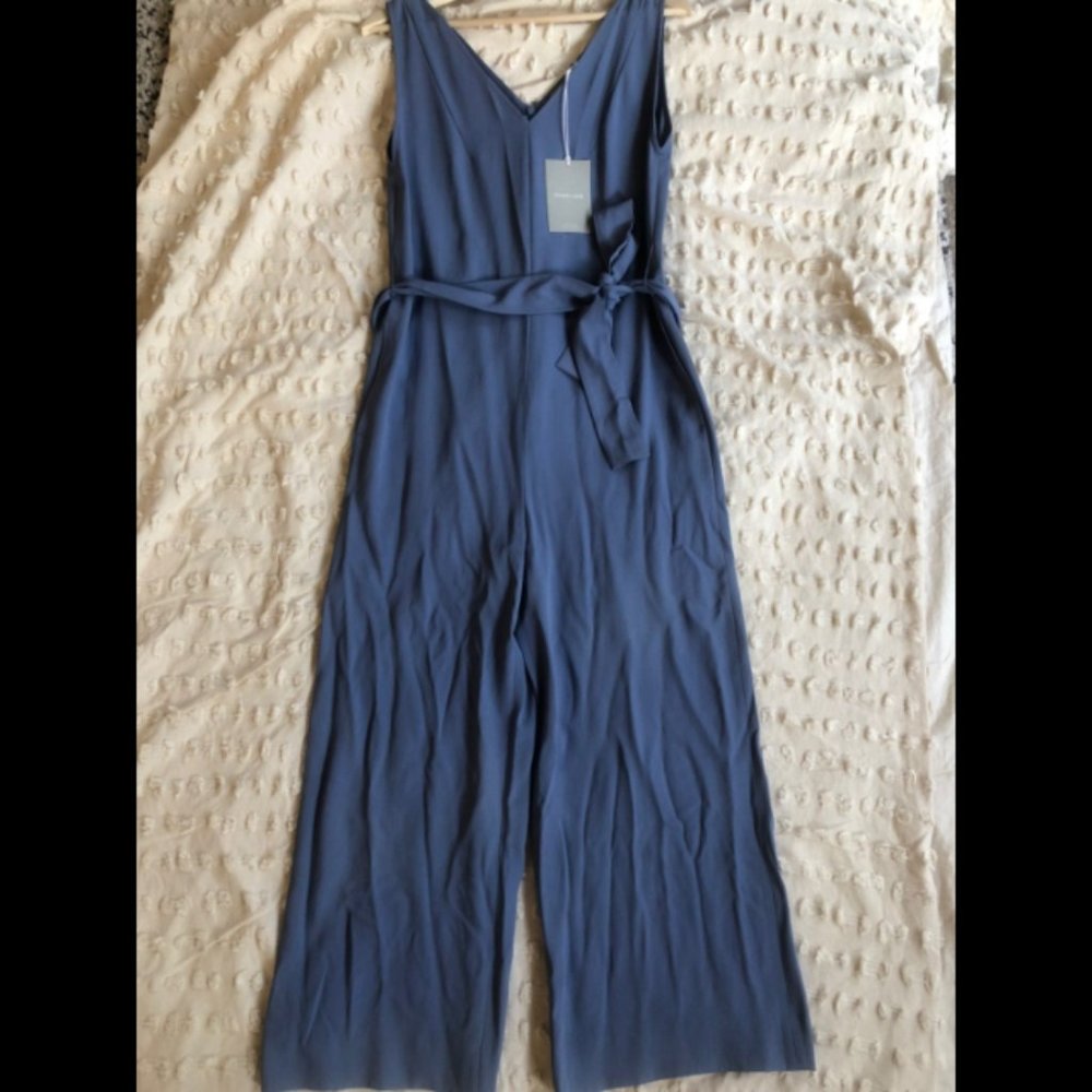NWT Everlane Blue Japanese GoWeave Jumpsuit